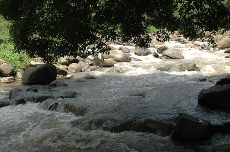 195C91224AC017D3D13844