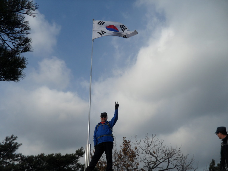 영초산삼 이미지