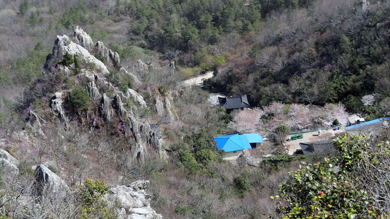 진달래의 최고봉 주작산