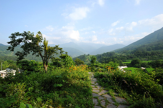 지리산숲길 이미지