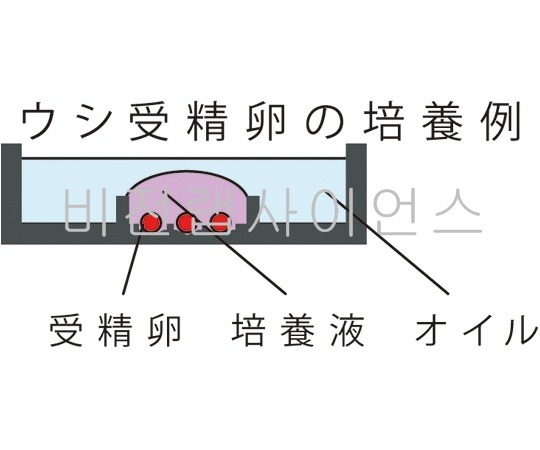 PETRI DISHES,개별관리 배양접시 