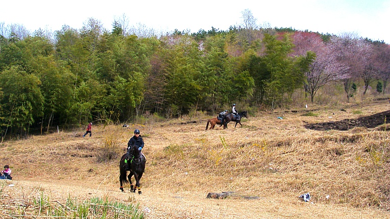 211CC648552A4B2C0DC6D9