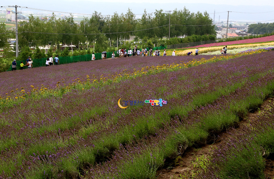선진산업 이미지