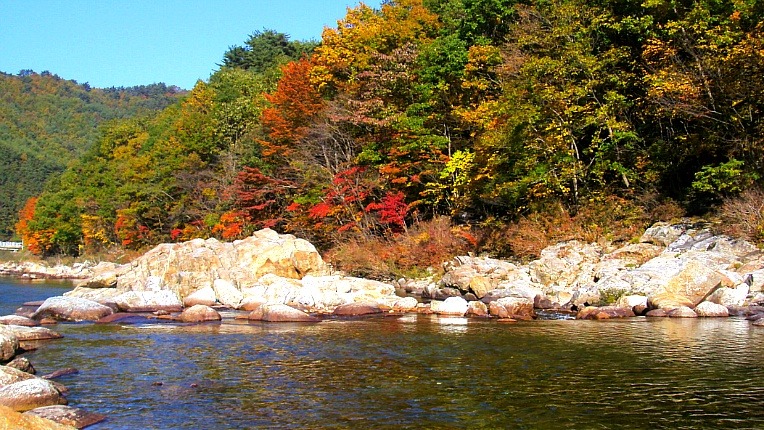 213C9C3E526D23341F3BC1