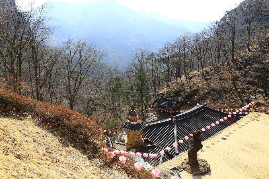 시공화 이미지