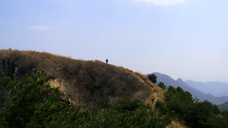 21781541552905C23310FC