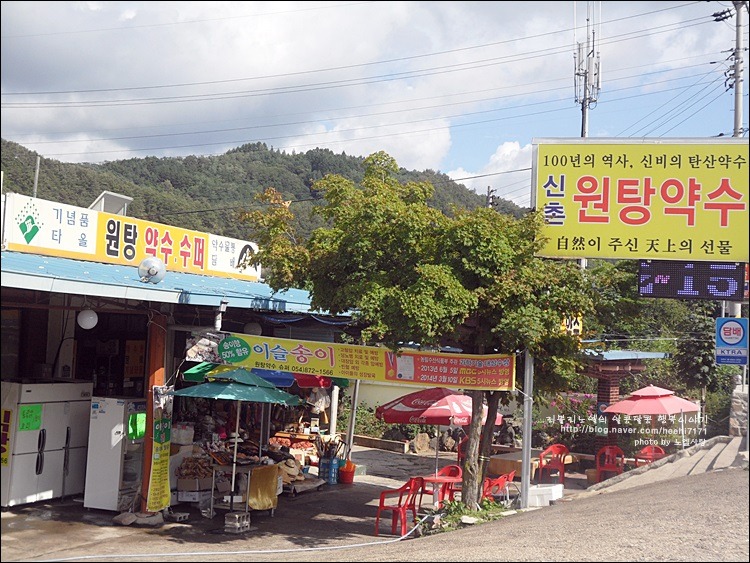 청송 탄산약수 신촌 원탕약수 & 안동 맘모스제과 땅콩쉐이크