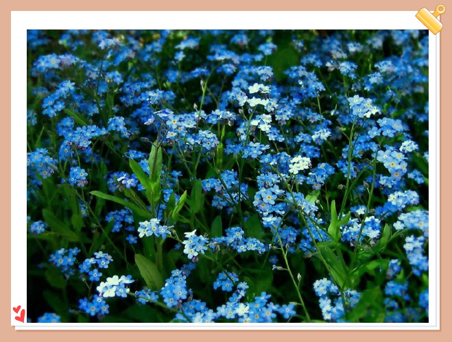 ♣ Deeper Than Love / Dave Koz 사랑보다 깊은 상처.... ♣