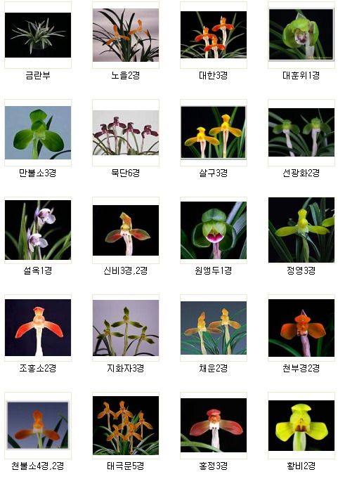 천향원 이미지