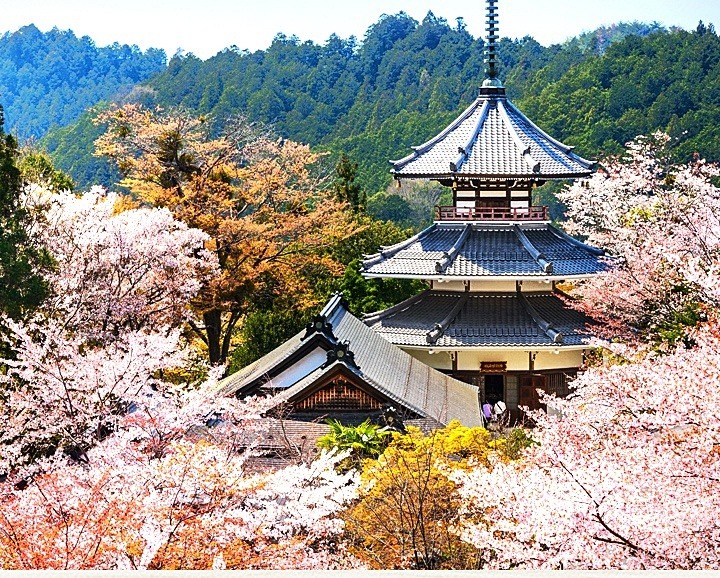 오사카,교토,나라