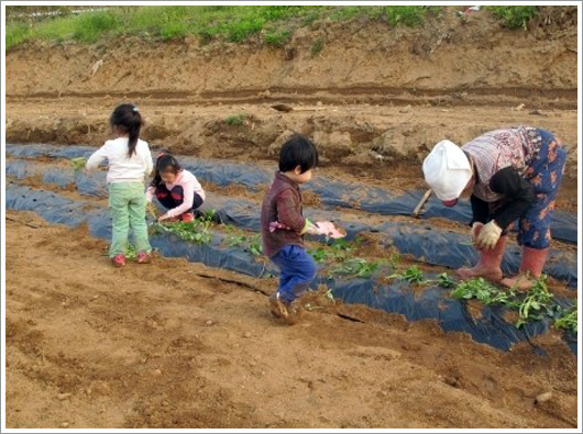 알콩달콩이야기 이미지