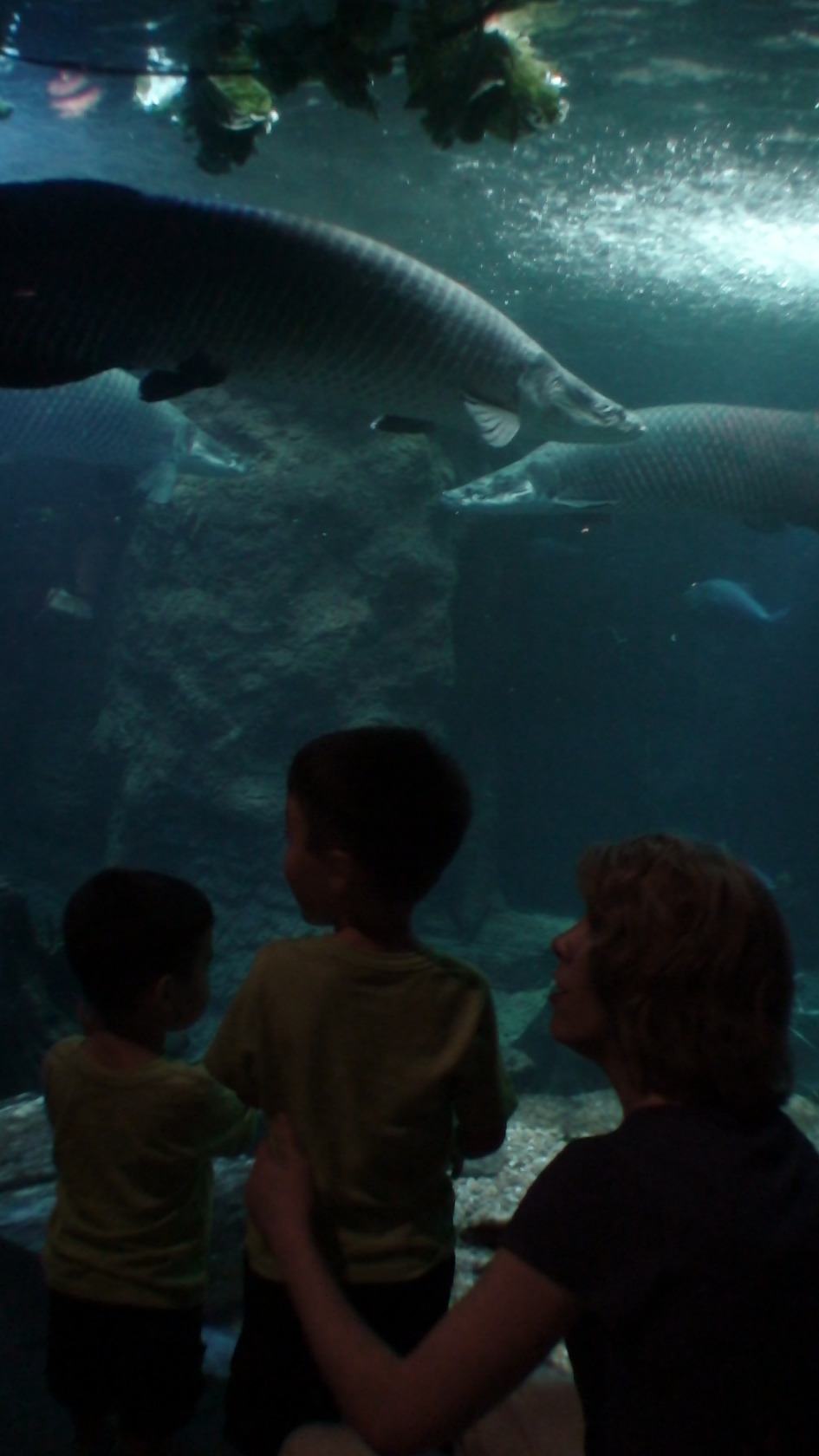 Dallas Aquarium