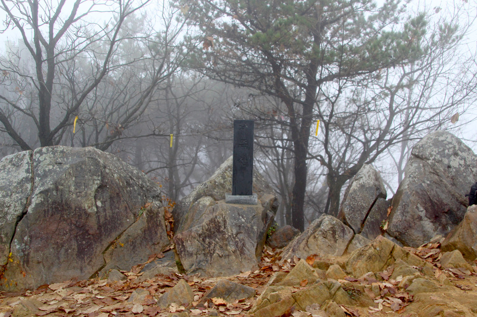 계족산 황톳길과 장태산 메타쉐콰이어 숲의 멋진 경치에 반하다(16.11.19) 인기명산 159위