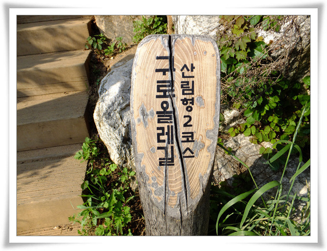 매봉초등학교 이미지