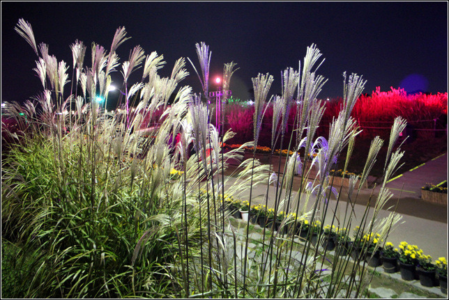 2371D8375447B2A41F58B6