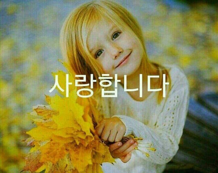 눈물 나도록 사십시오에 대한 이미지 검색결과