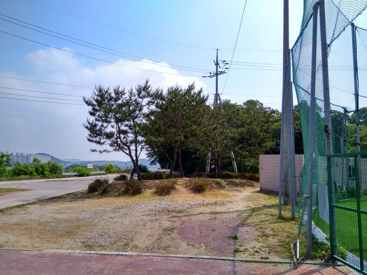 폭염주의보 발령, 야구하면 쓰러집니다. 