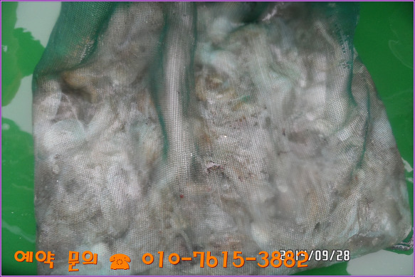246BF9435428090625F755