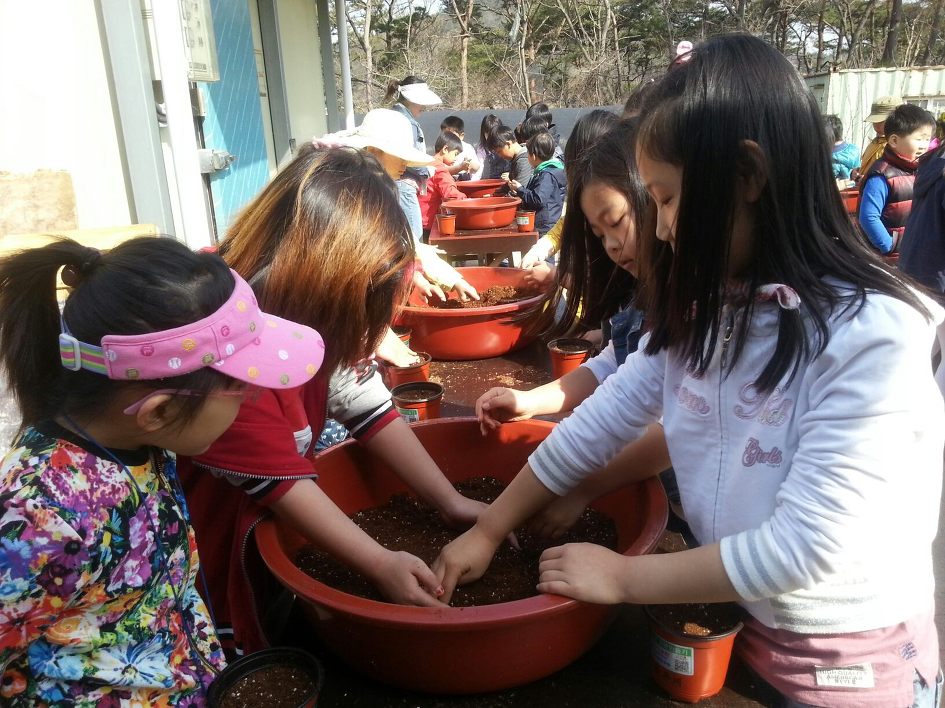 대산초등학교 이미지