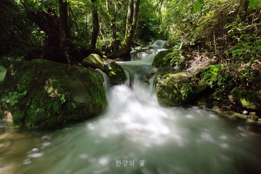 상동이끼계곡