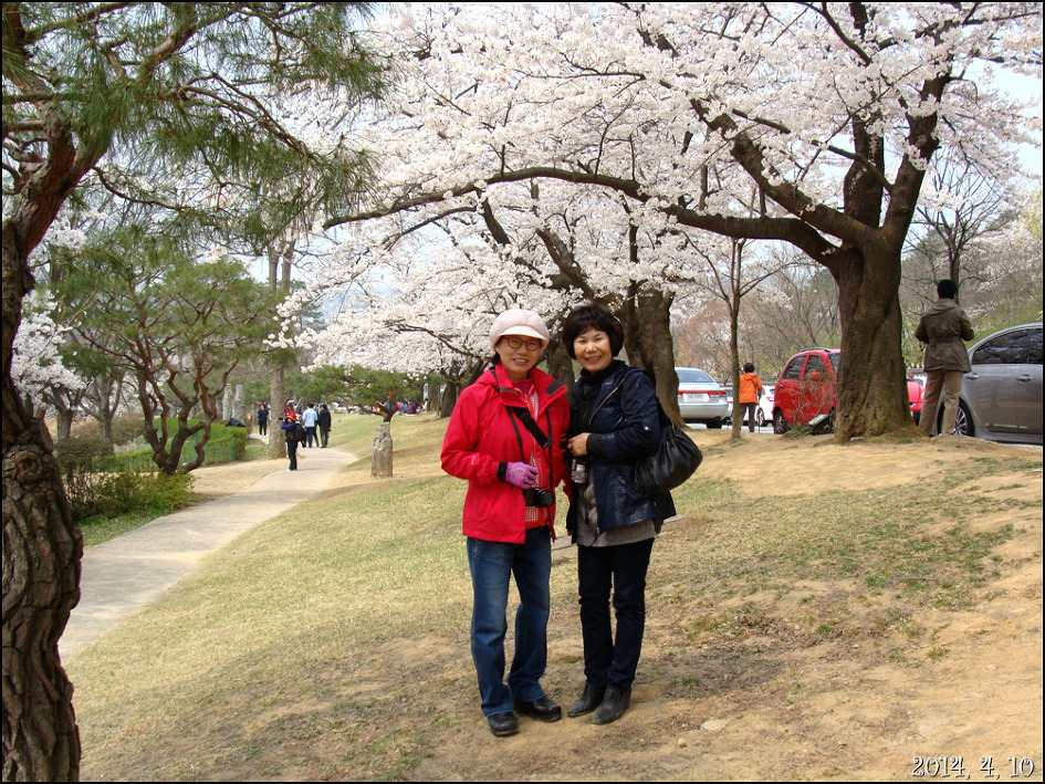 오랜만에 친구와 함께 한 나들이 용인 호암 미술관 희원/2014, 4, 10
