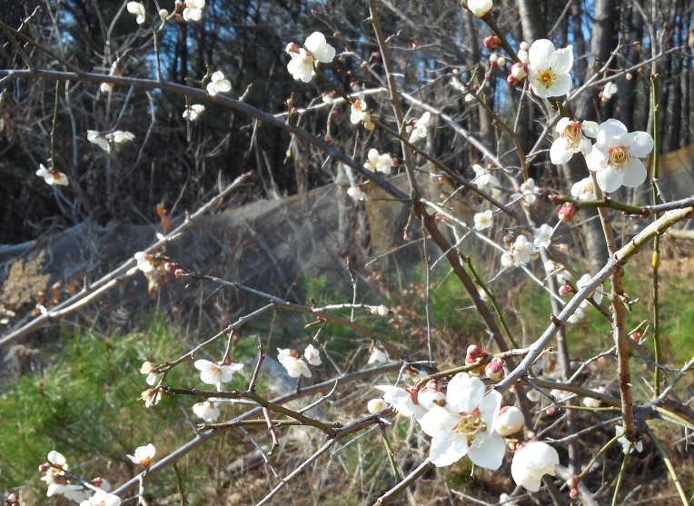 산중농원 이미지