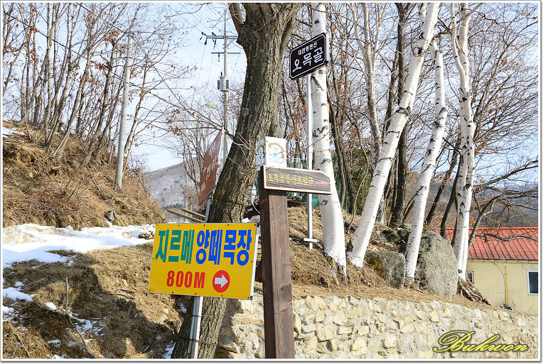 능경봉, 고루포기산 눈꽃산행_20130217
