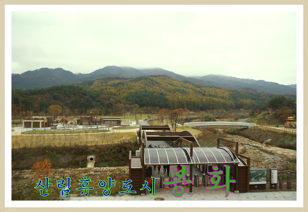 고산 산림교육센터 이미지