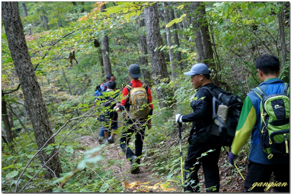 영남알프스 하늘억새길 배내봉 간월산 신불산 영축산 구간 2/2