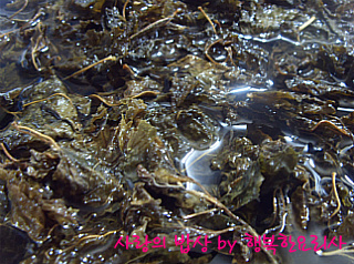 더블클릭을 하시면 이미지를 수정할 수 있습니다