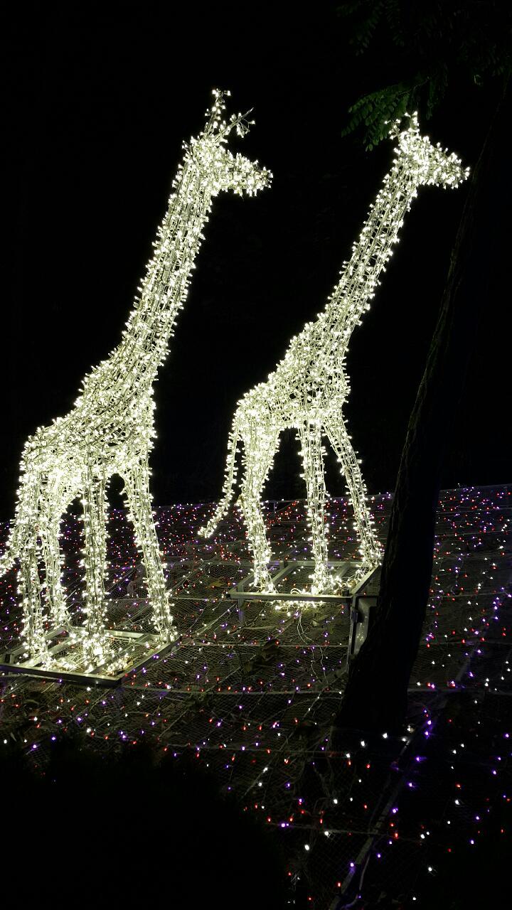 청도랜드 이미지