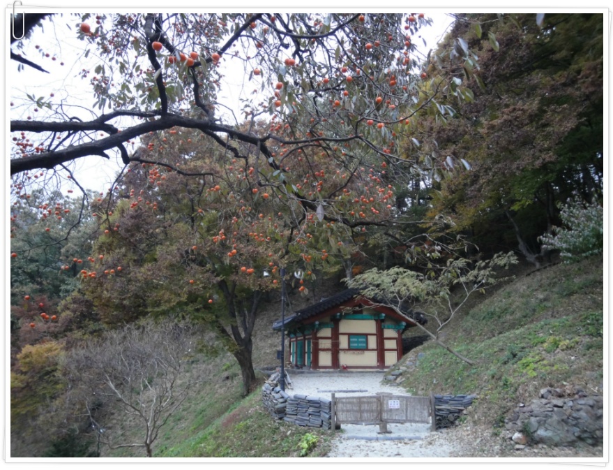 [충남 청양 칠갑산 가볼만한 곳] 장곡사 가을여행 - 상, 하 두 개의 대웅전이 있는 천년고찰