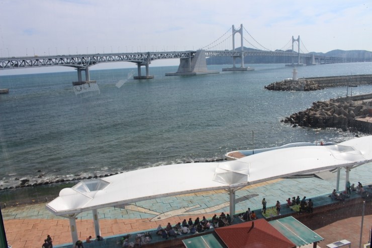 광안리 밀레니엄횟집