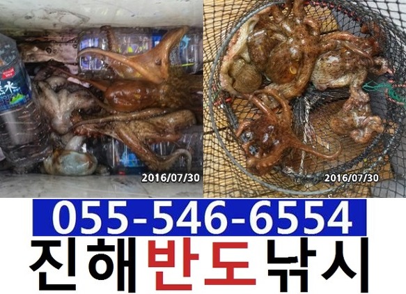 27266635579D61E5220031