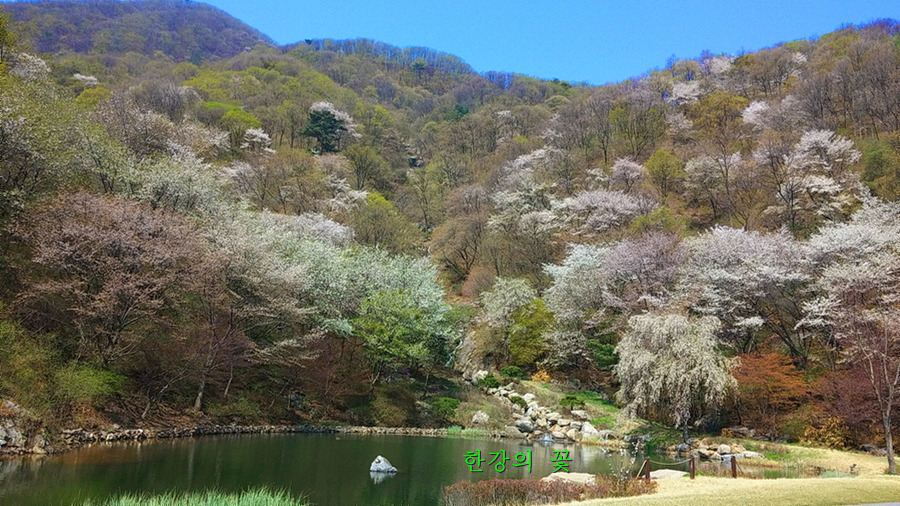 봄풍경