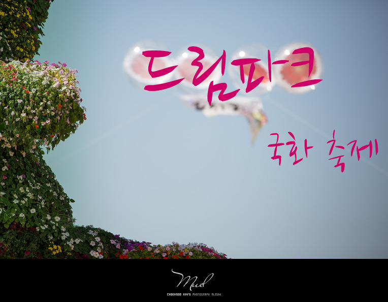   사람이 꽃보다 아름다워요...^^ 인천 국화축제장....^^