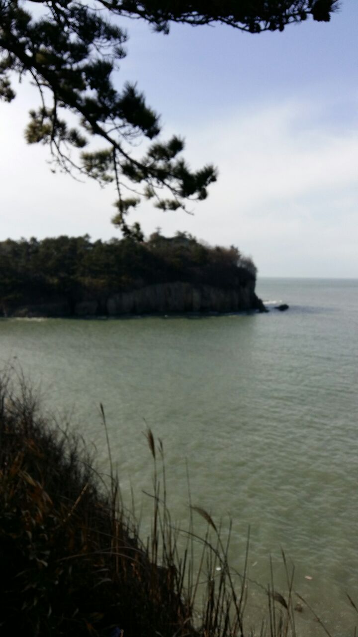 2017년 설