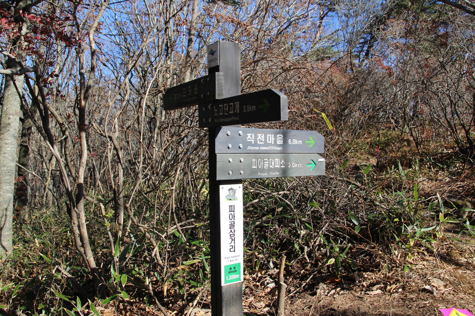 지리산 노고단 조망과 피아골 단풍의 고운 자태에 멋진 하루를 보내다(15.10.31)