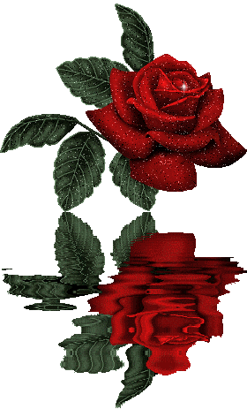 275F6B44523ECBF4183428