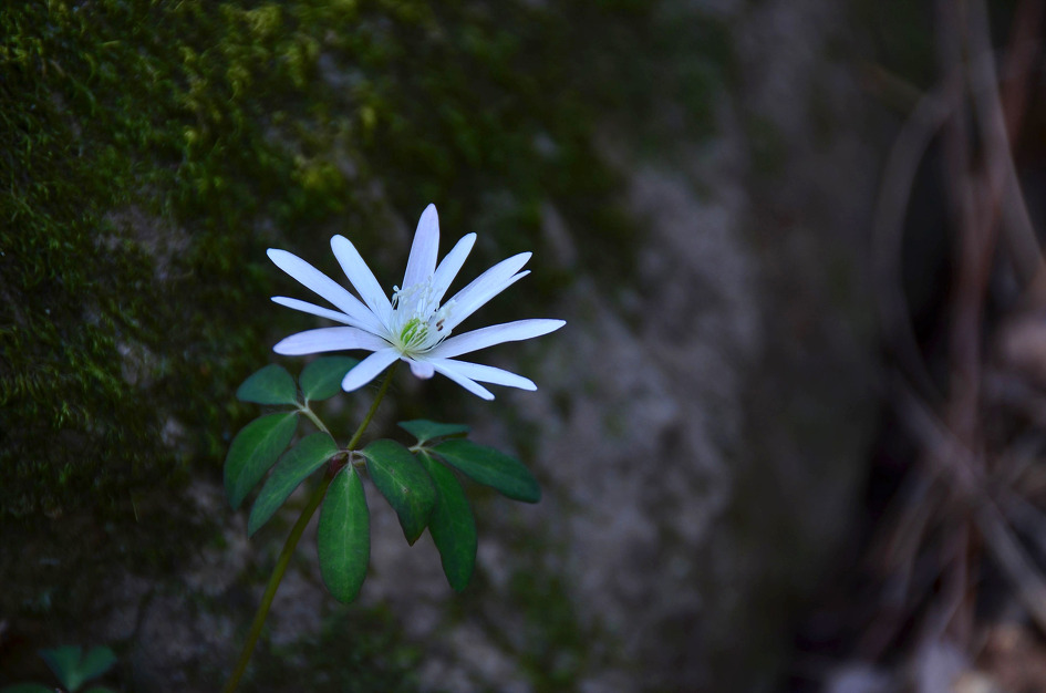 야사모-3월정모(경산->경주)