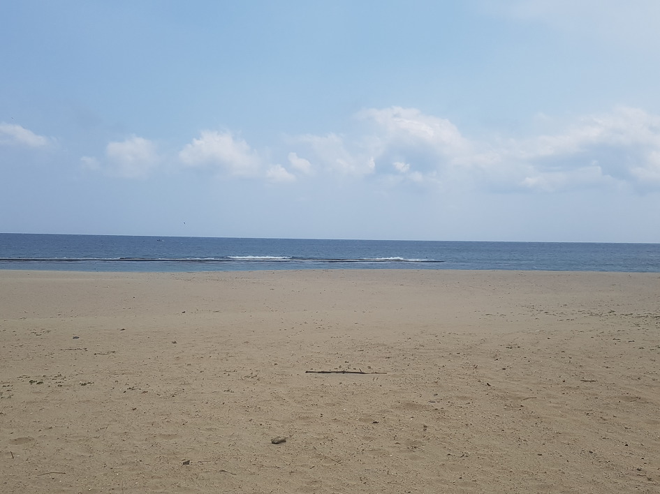 터미날6 이미지