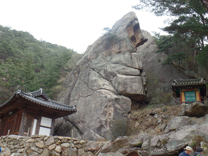 1045- 慶州 南山 고위봉(高位峯:494m)을 다녀왔어요.