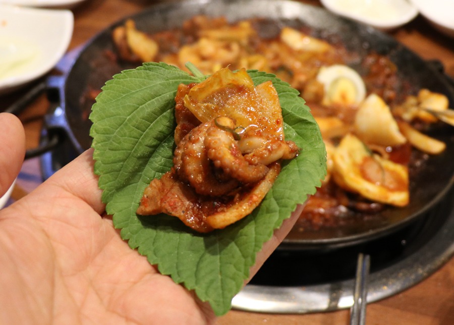 빨간쭈꾸미 이미지