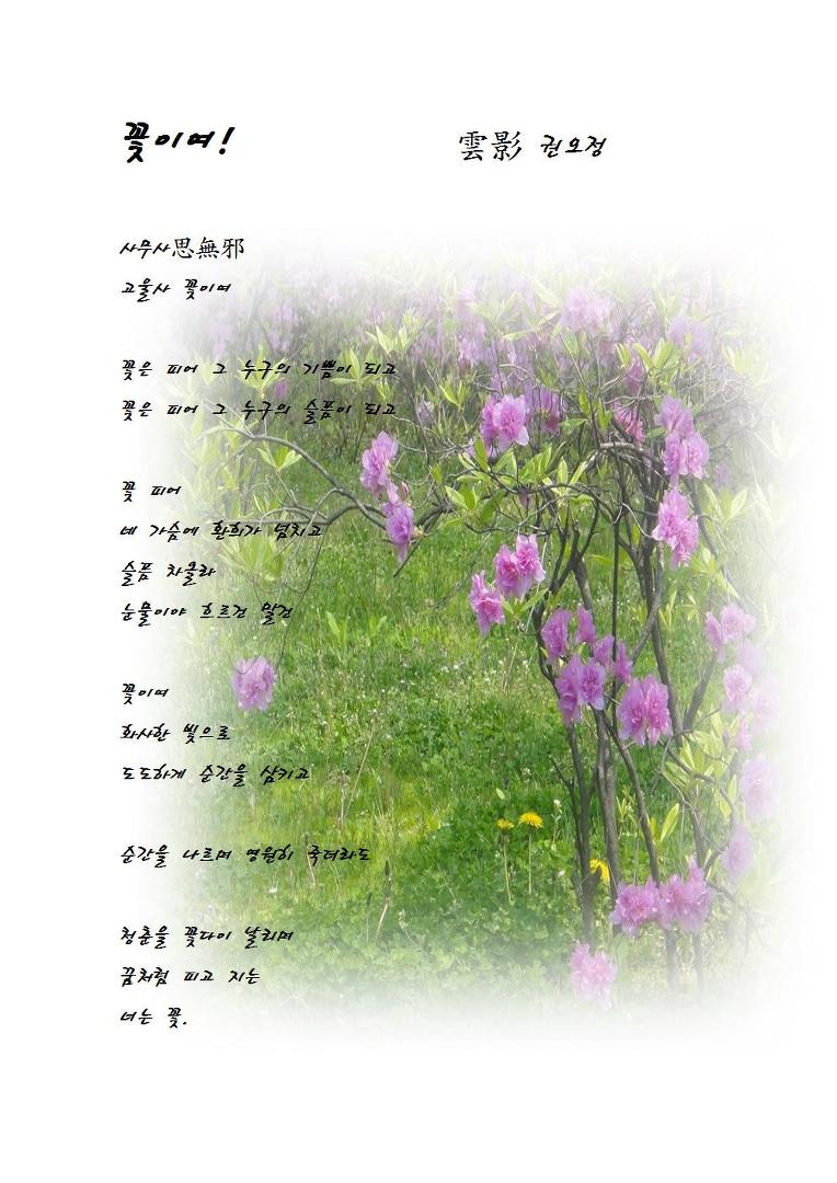 소나무가든 이미지