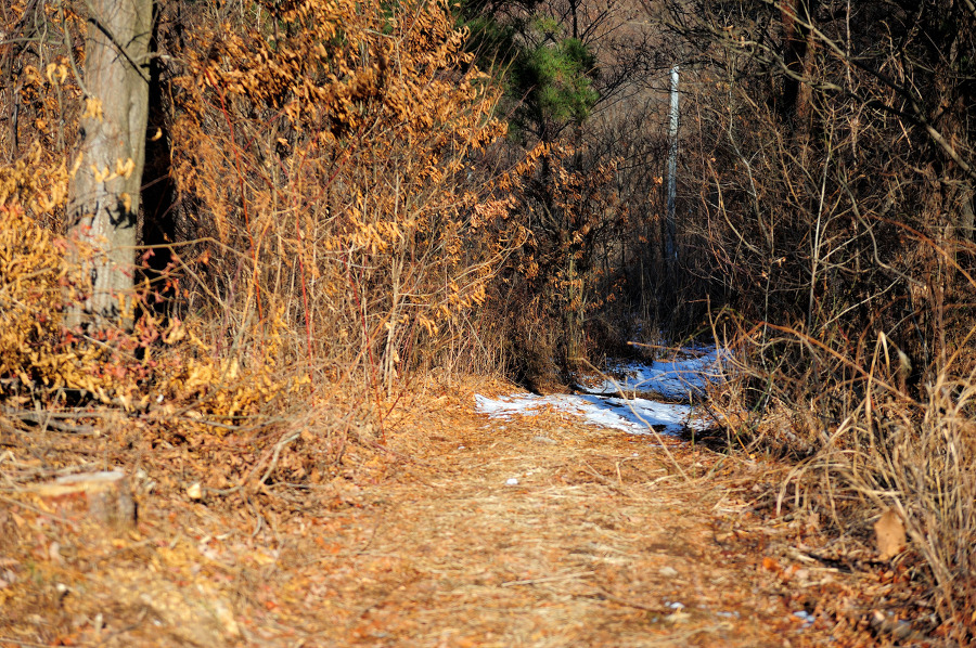 지리산 둘레길 3코스, 그리고 금대암