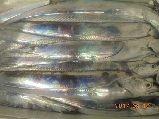 994F79335994FF1E0CC8CC