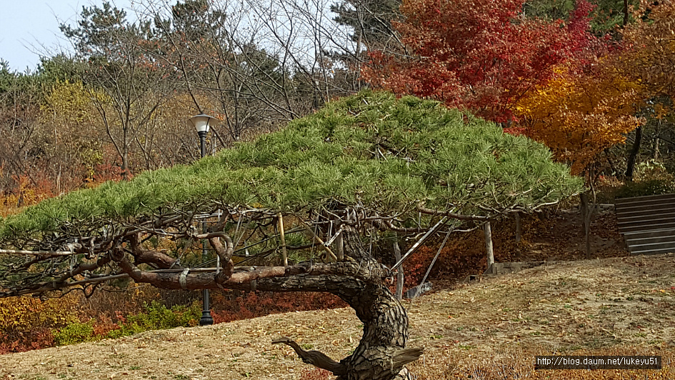 시청뒤에서 이미지