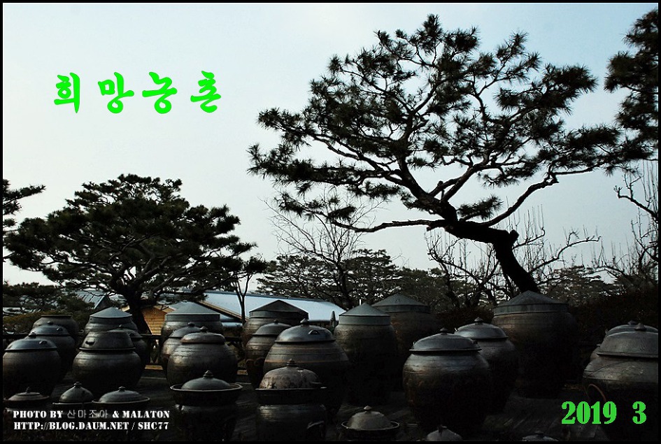 농진중앙회 희망농촌 2019년 3월호 표지 사진제공