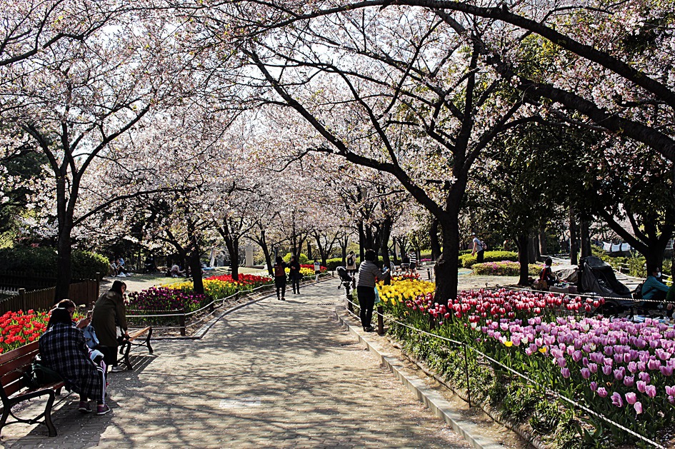 ♣♬ 김해시 연지공원 돌아보기[20190404]♪♣