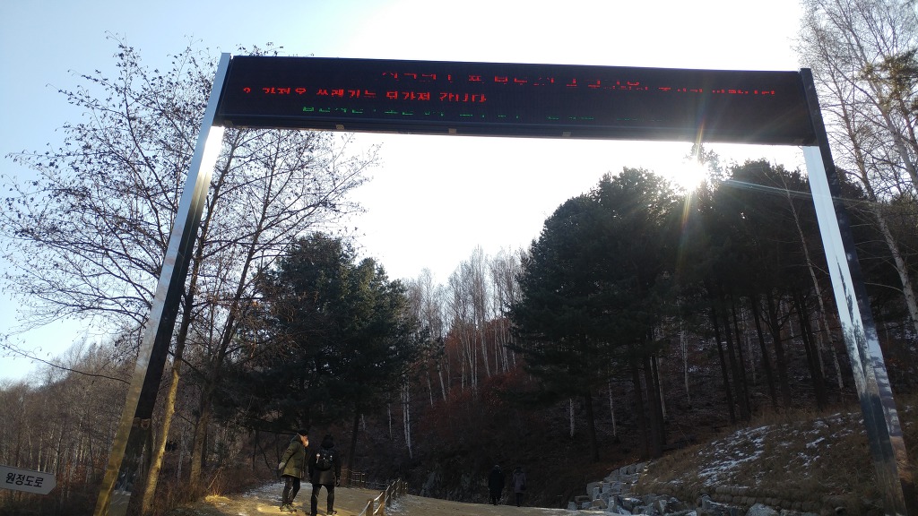 인제 자작나무숲(원대리)